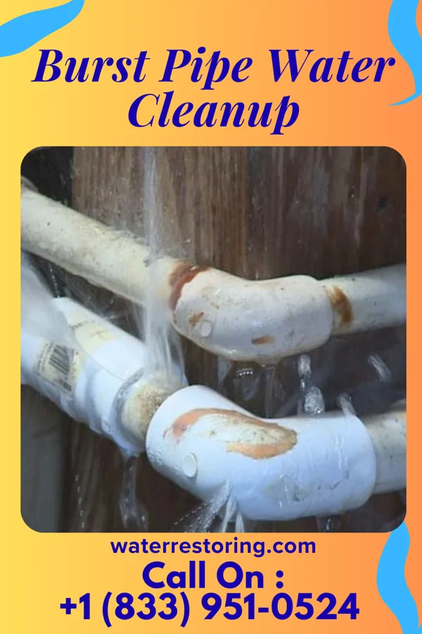 Burst Pipe Water Cleanup in Bloomington, WI