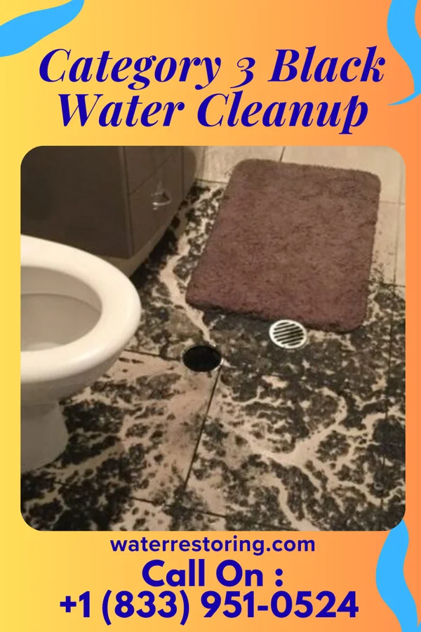 Category 3 Black Water Cleanup in Bloomington, WI
