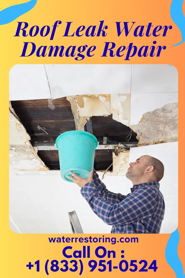Roof Leak Water Damage Repair in Bloomington, WI