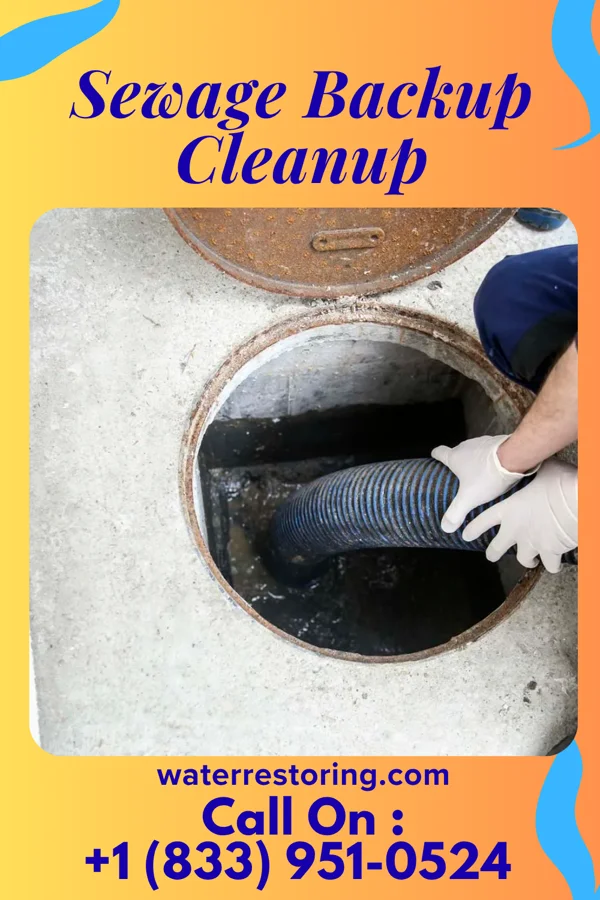 Sewage Backup Cleanup in Bloomington, WI