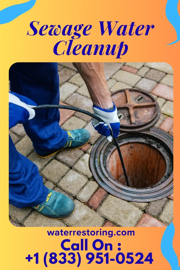 Sewage Water Cleanup in Bloomington, WI