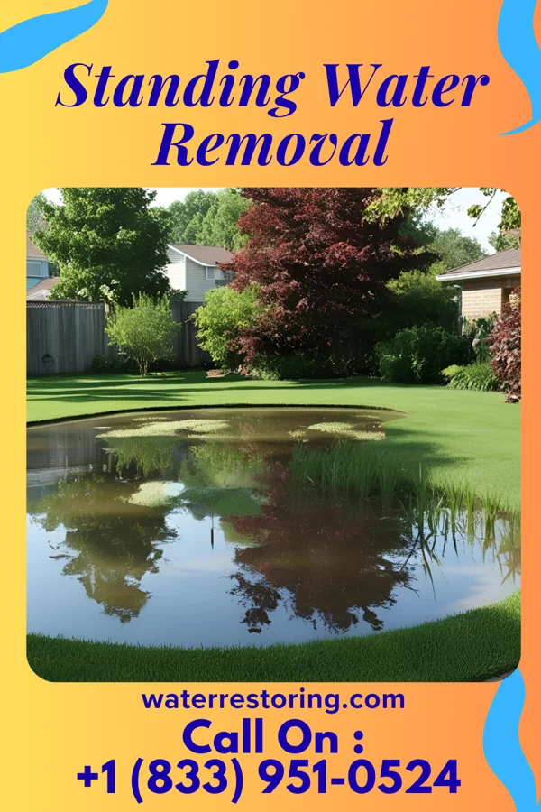 Standing Water Removal in Bloomington, WI